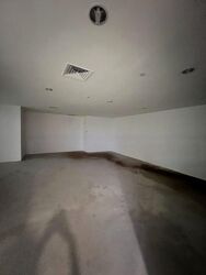 Lucky Plaza (D9), Shop House #469269921